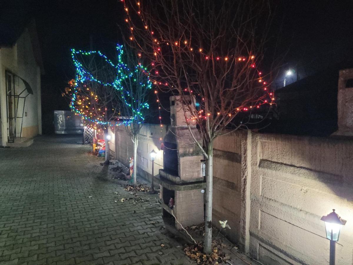 فندق Casa Ovi Si Simo Haţeg المظهر الخارجي الصورة