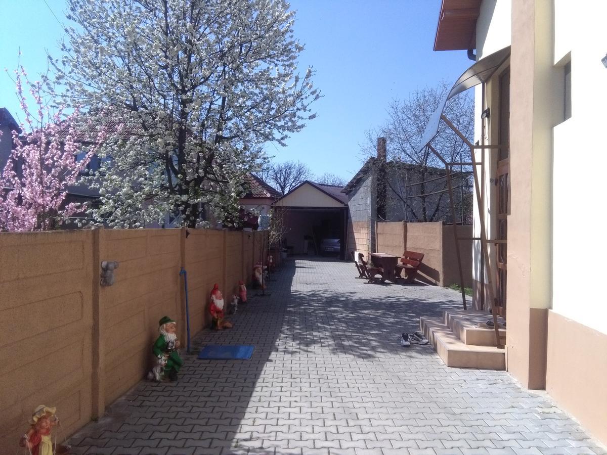 فندق Casa Ovi Si Simo Haţeg المظهر الخارجي الصورة