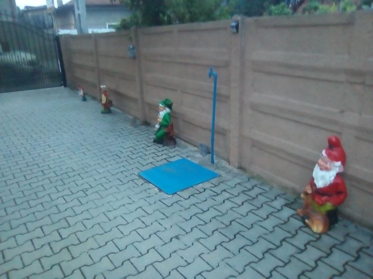 فندق Casa Ovi Si Simo Haţeg المظهر الخارجي الصورة