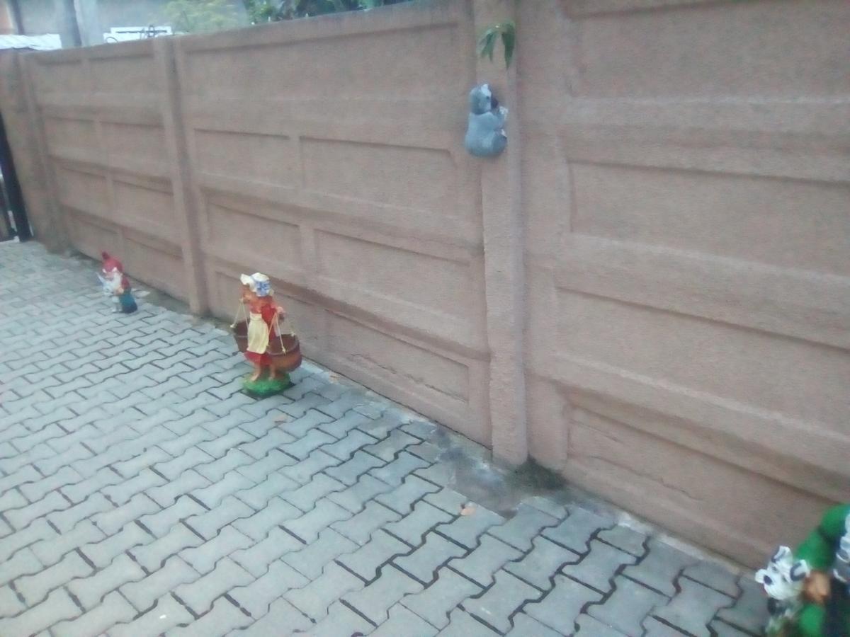 فندق Casa Ovi Si Simo Haţeg المظهر الخارجي الصورة