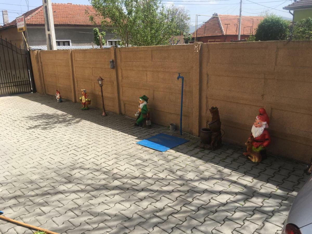 فندق Casa Ovi Si Simo Haţeg المظهر الخارجي الصورة